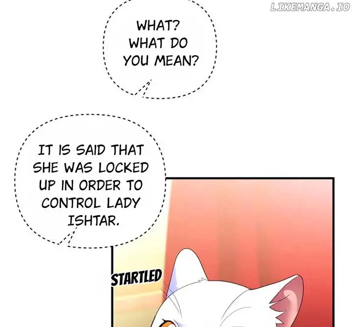 I Became The Sultan’s Precious Cat - Chapter 55