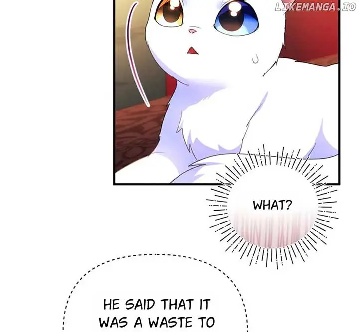 I Became The Sultan’s Precious Cat - Chapter 55