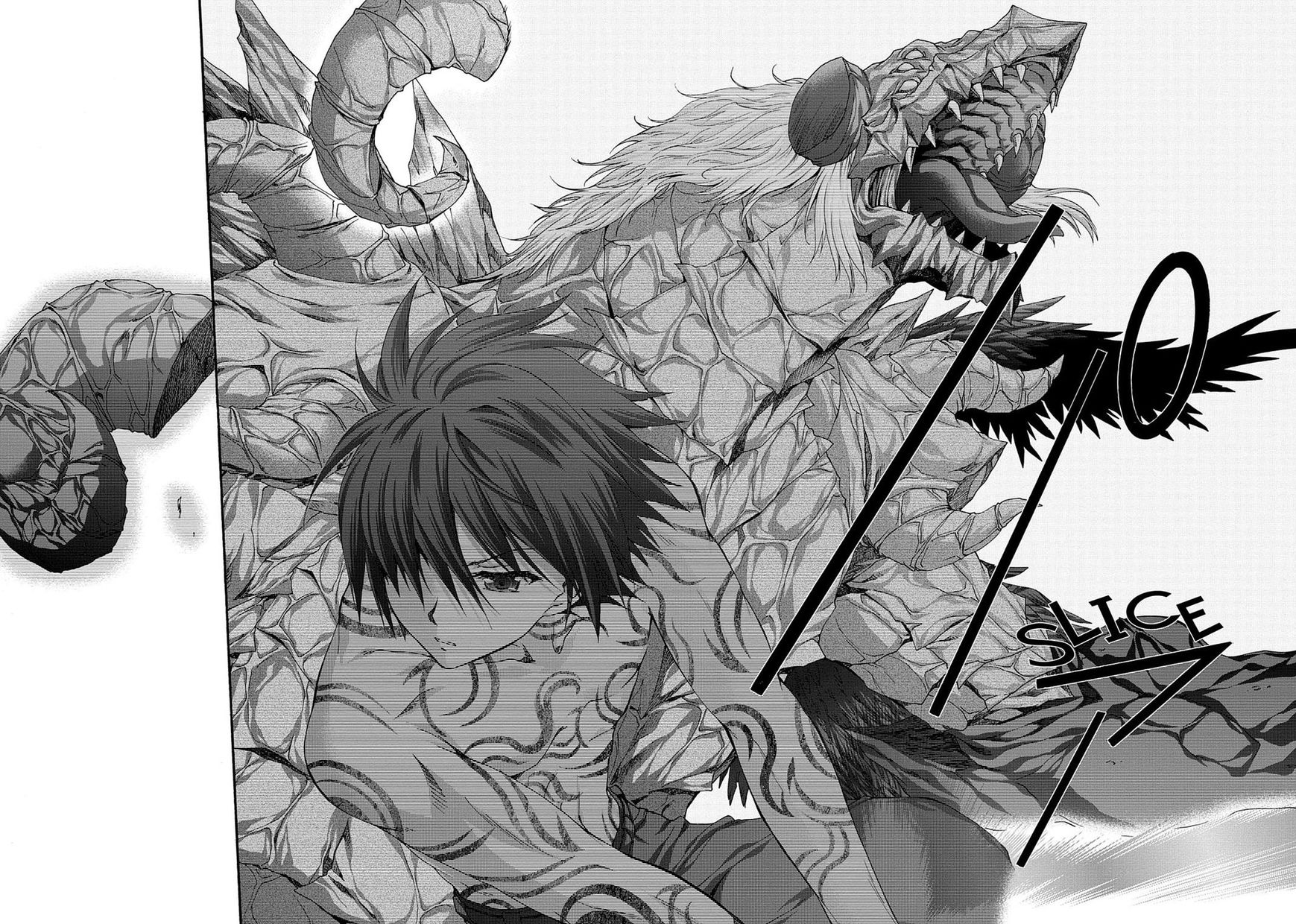 Seikoku No Ryuu Kishi - Chapter 34 : The Knight Of Avalon