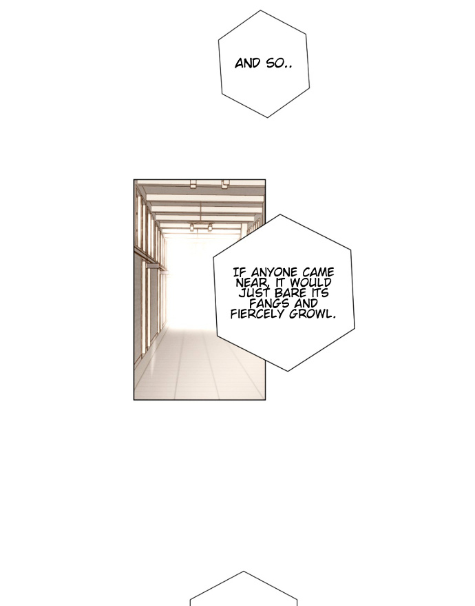 That Summer (Kim Hyun) - Chapter 86 : The Dog That Bites The Wolf - 11 (Fin)