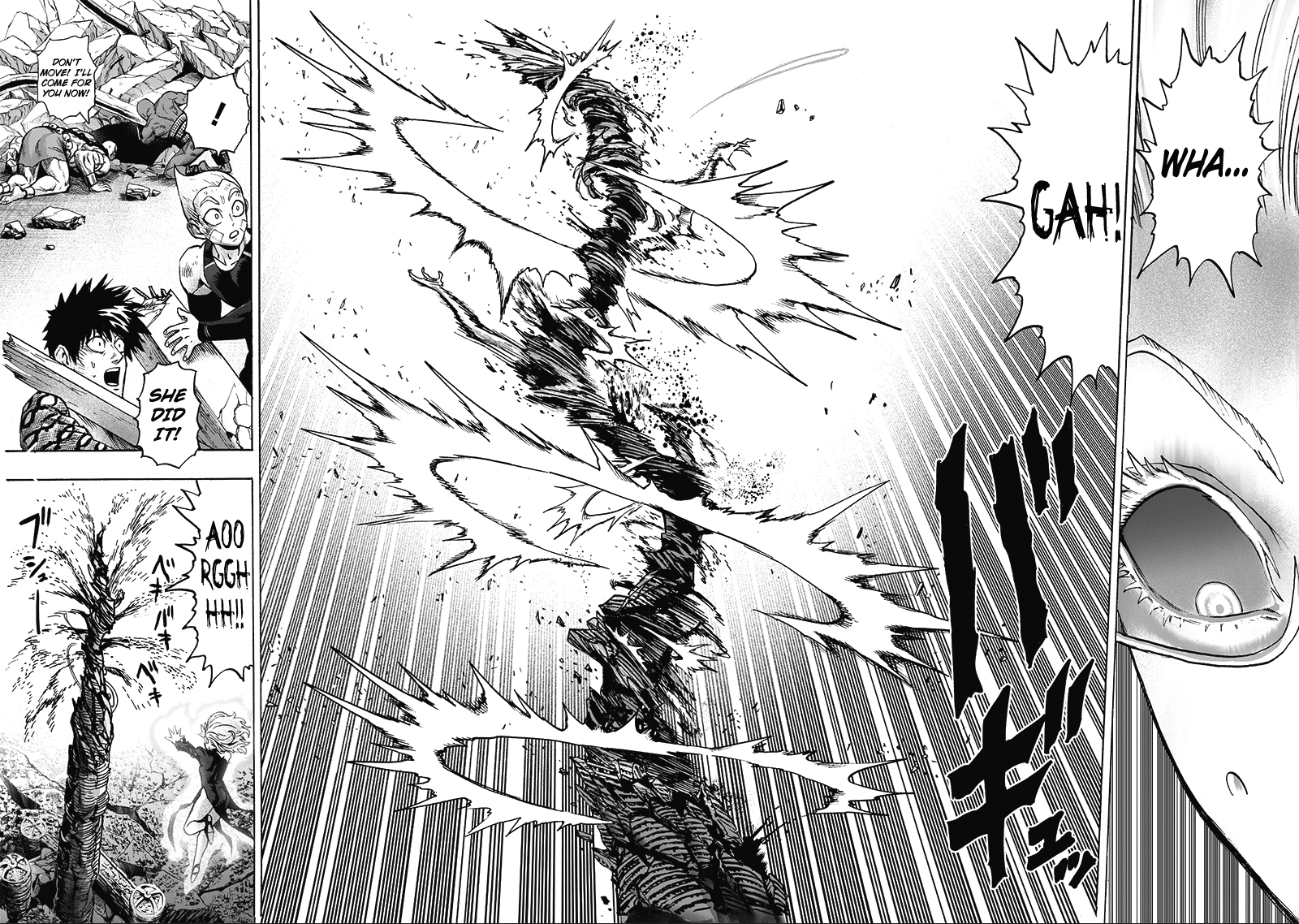 Onepunch-Man - Chapter 133: Glorious Being