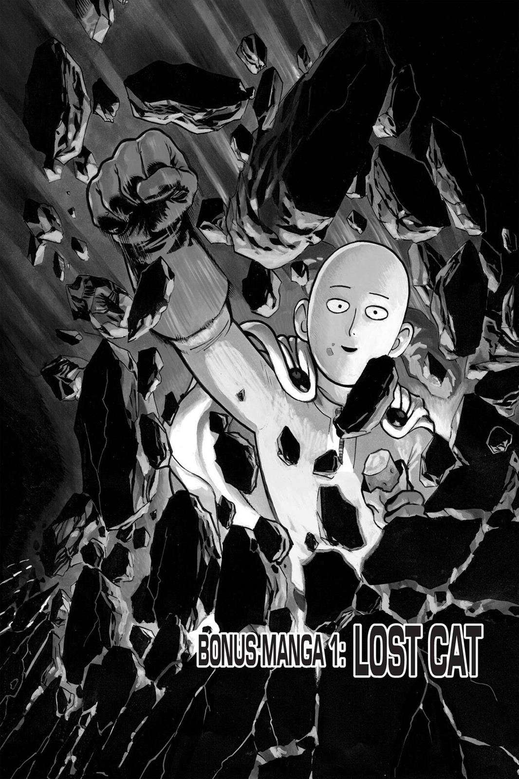 Onepunch-Man - Chapter 40.5