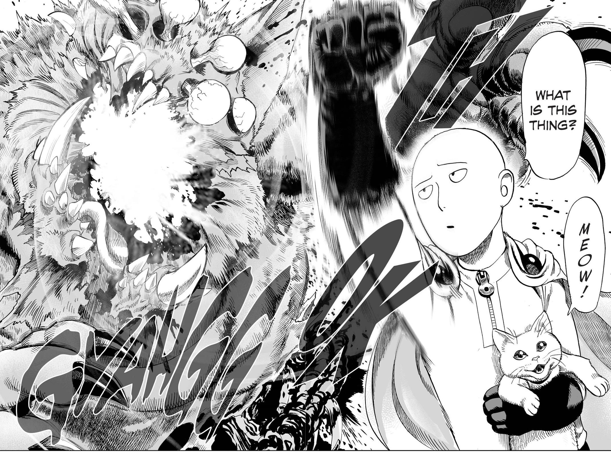 Onepunch-Man - Chapter 40.5