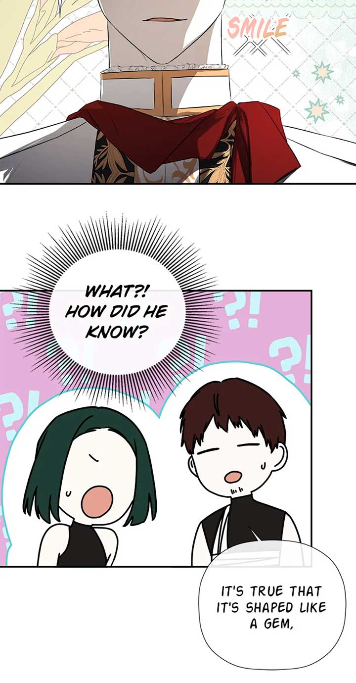 I Mistook The Hidden Identity Of The Sub Male Lead - Chapter 75