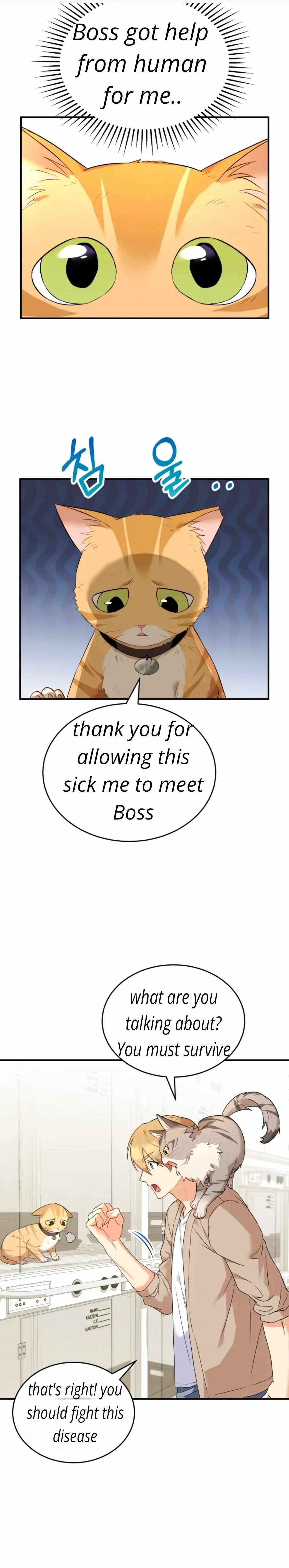 Hello! Veterinarian! - Chapter 7.1