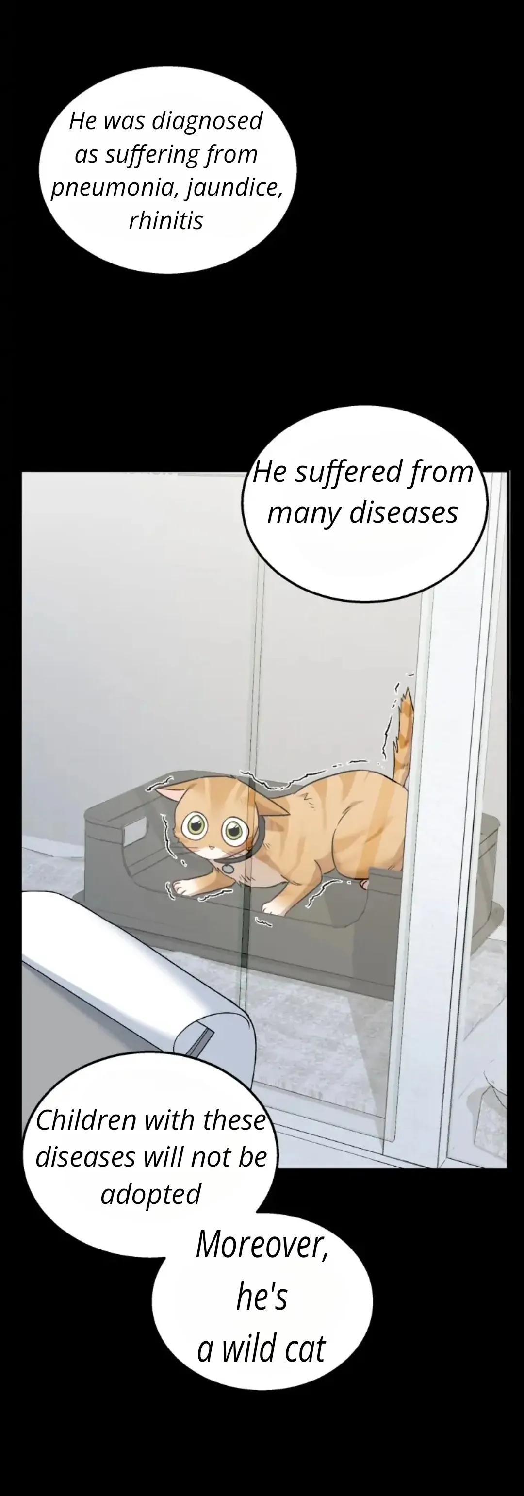 Hello! Veterinarian! - Chapter 7