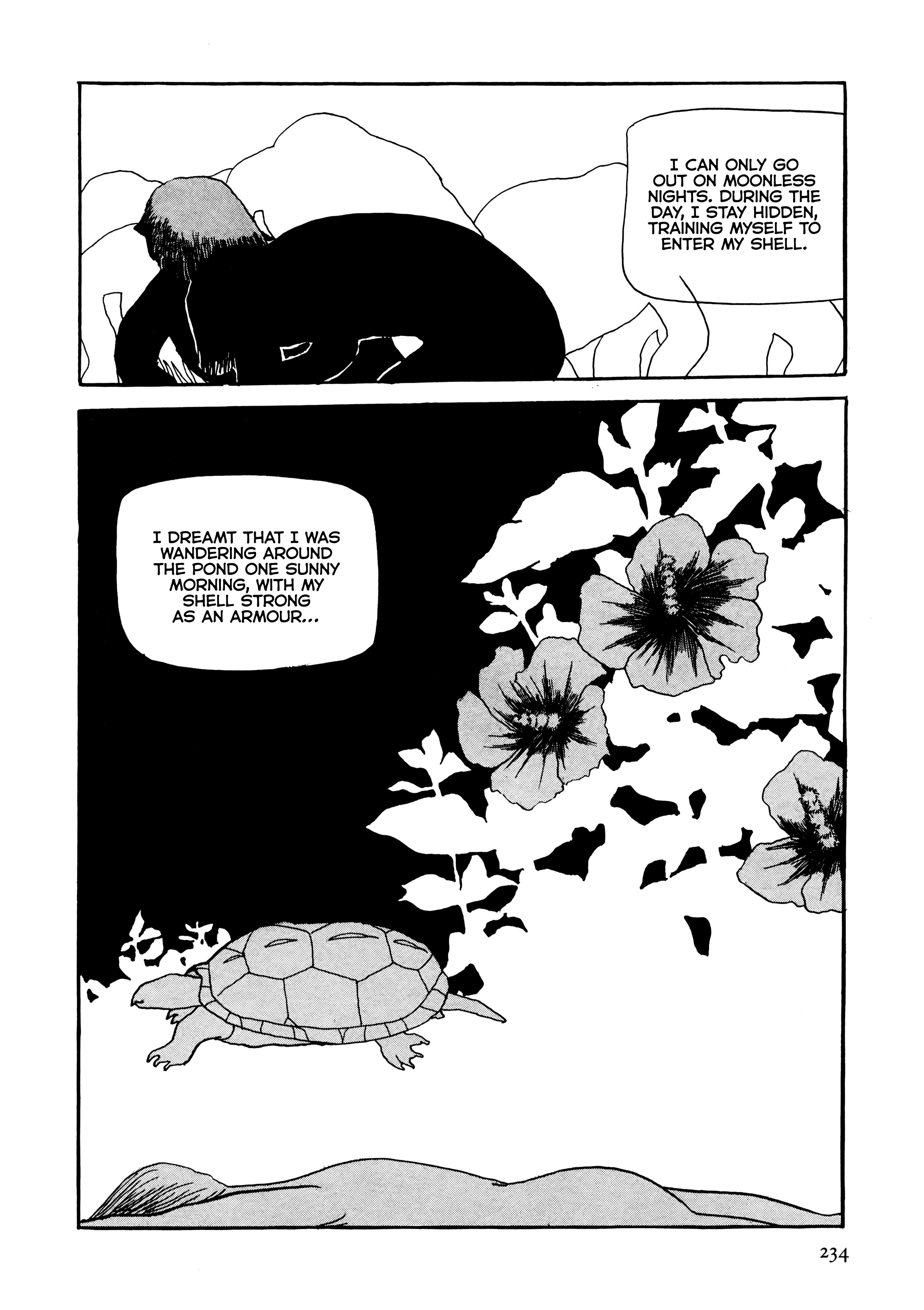 Flight - Vol.1 Chapter 15: Story Of A Turtle