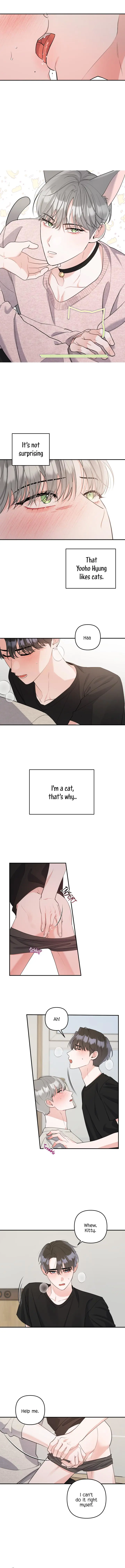 Not That Cat, This Cat - Chapter 4