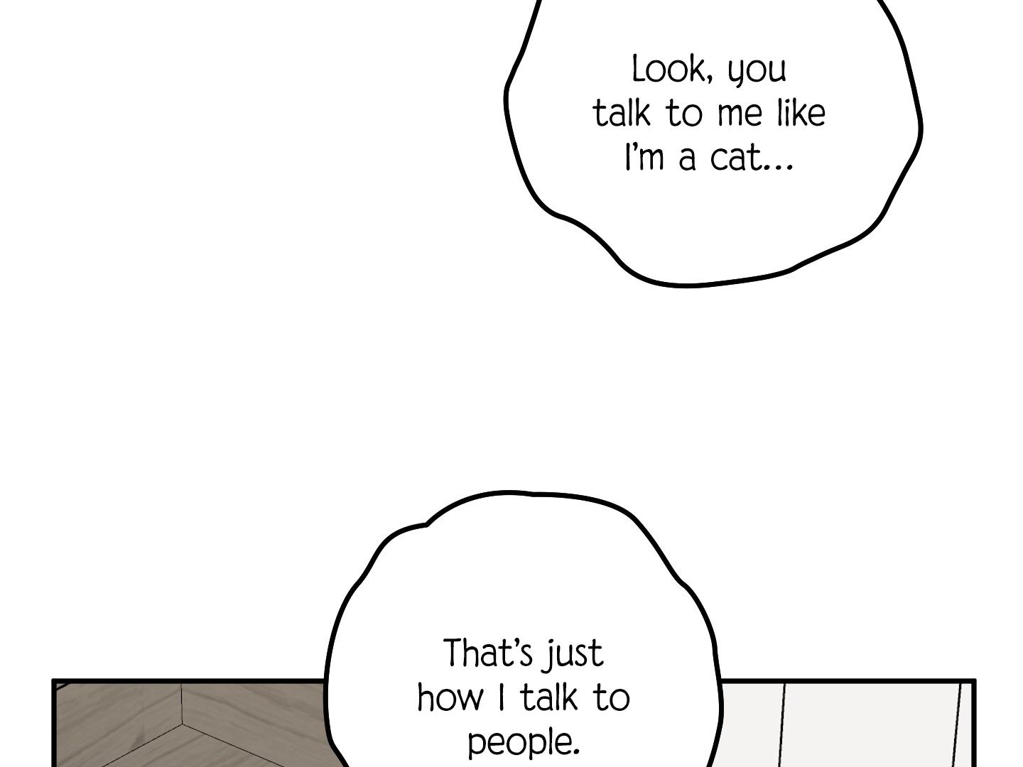 Not That Cat, This Cat - Chapter 5