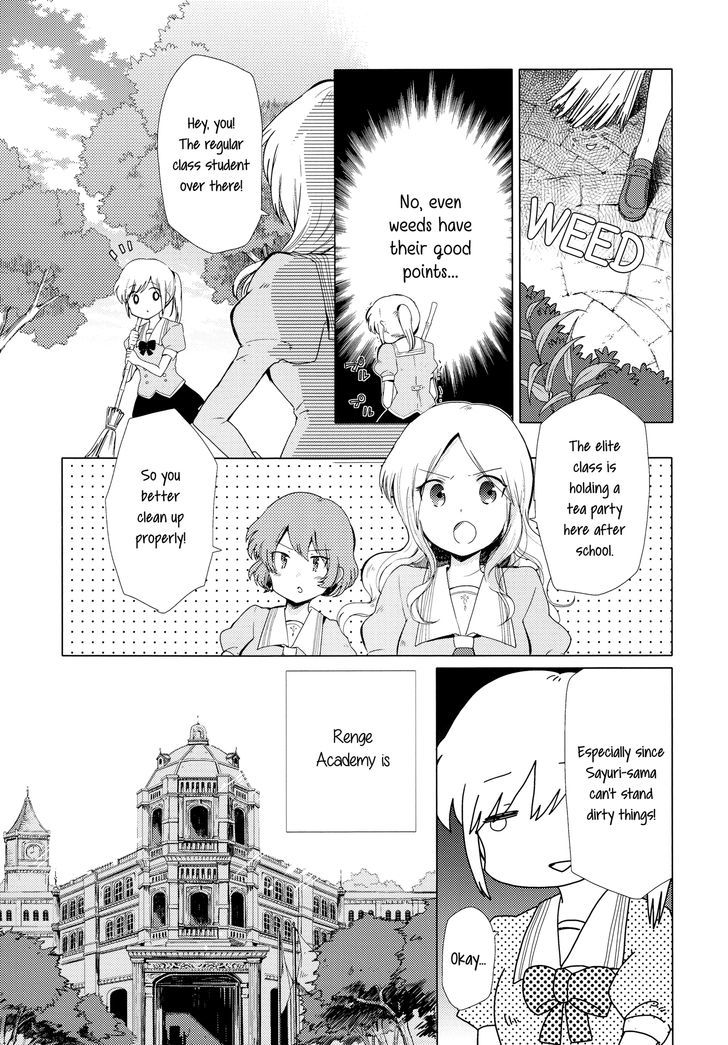 White Lily And Spring Aster - Chapter 1