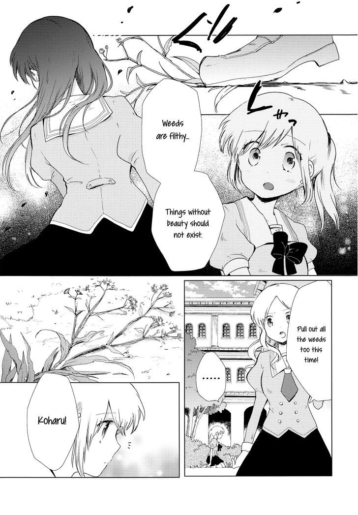 White Lily And Spring Aster - Chapter 1