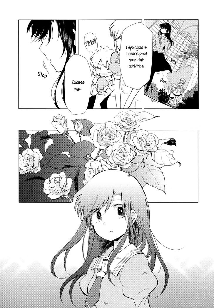 White Lily And Spring Aster - Chapter 1