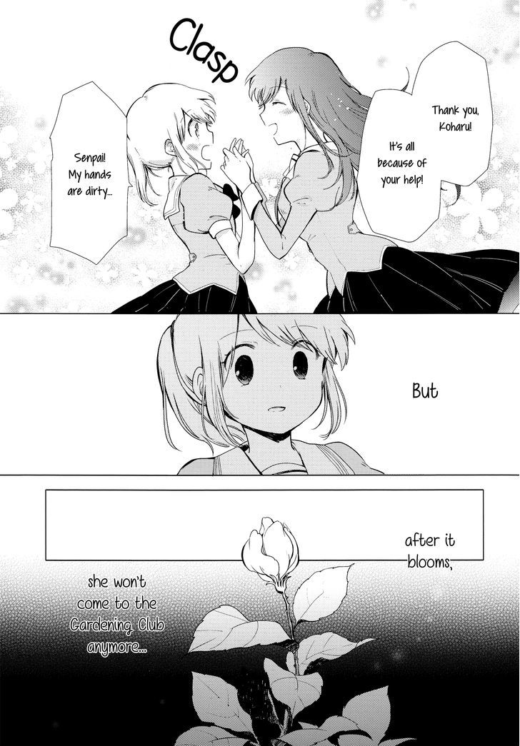 White Lily And Spring Aster - Chapter 1