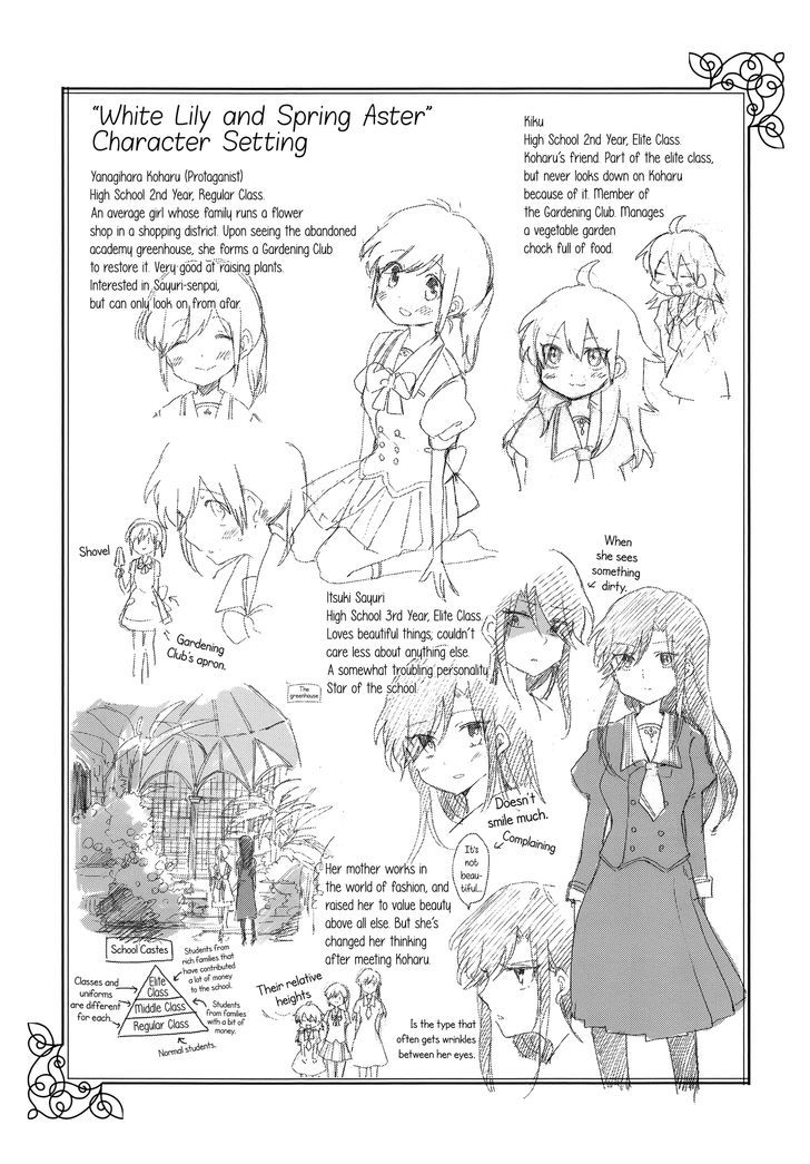 White Lily And Spring Aster - Chapter 1