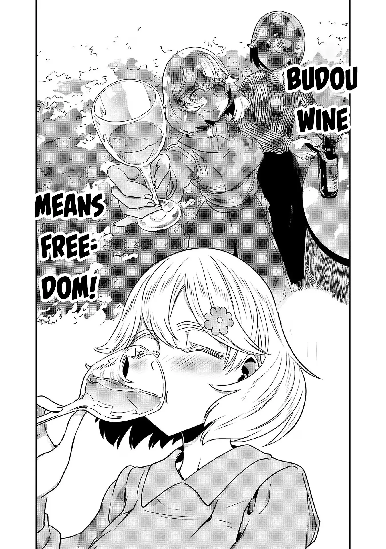 Haruka Reset - Vol.8 Chapter 66: Let's Drink Katsunuma Wine!