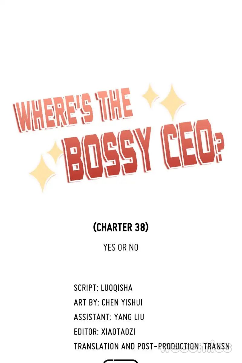 Where's The Bossy Ceo? - Chapter 38: Yes Or No