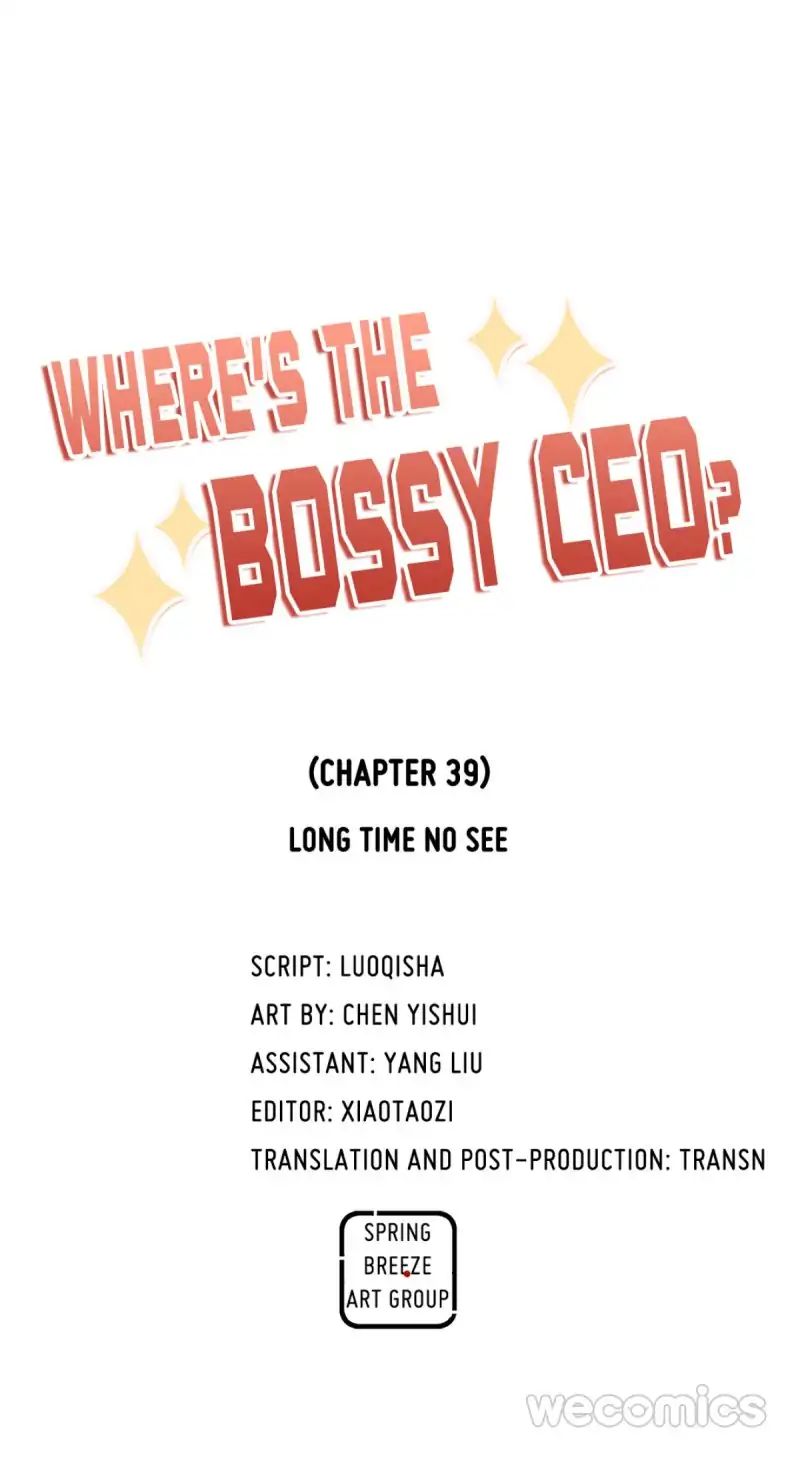 Where's The Bossy Ceo? - Chapter 39: Long Time No See [End]