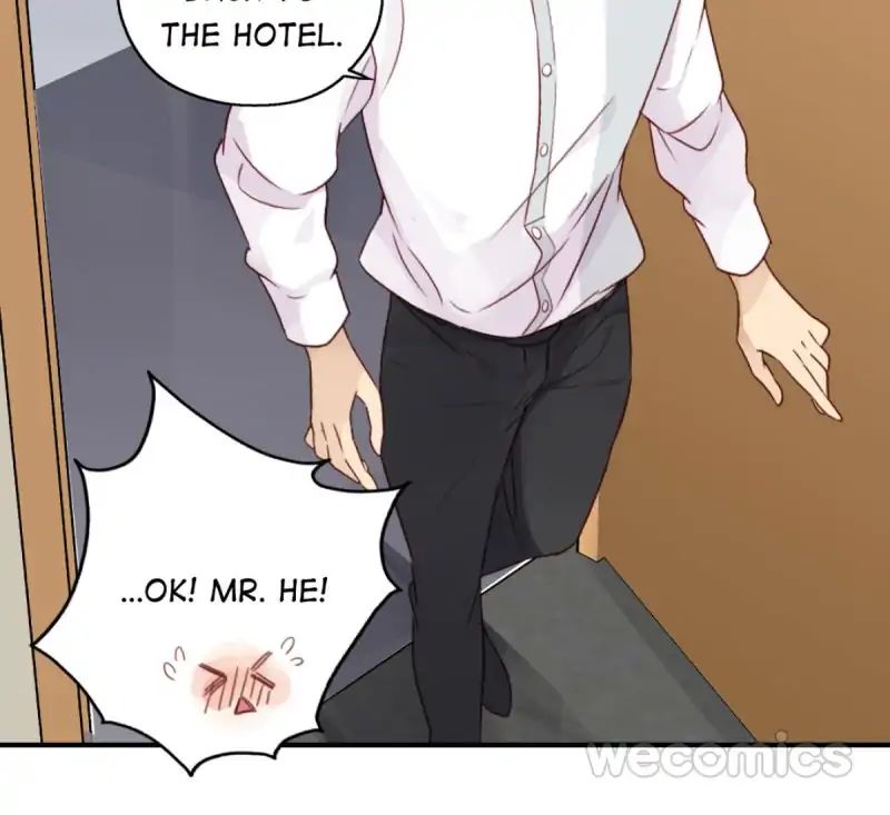 Where's The Bossy Ceo? - Chapter 39: Long Time No See [End]