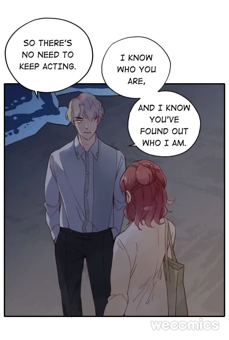 Where's The Bossy Ceo? - Chapter 39: Long Time No See [End]