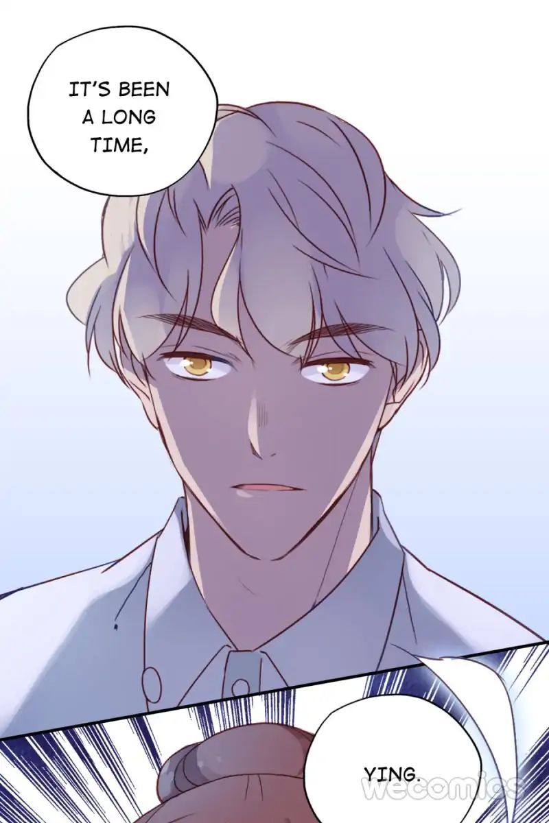 Where's The Bossy Ceo? - Chapter 39: Long Time No See [End]