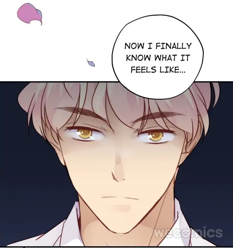 Where's The Bossy Ceo? - Chapter 39: Long Time No See [End]