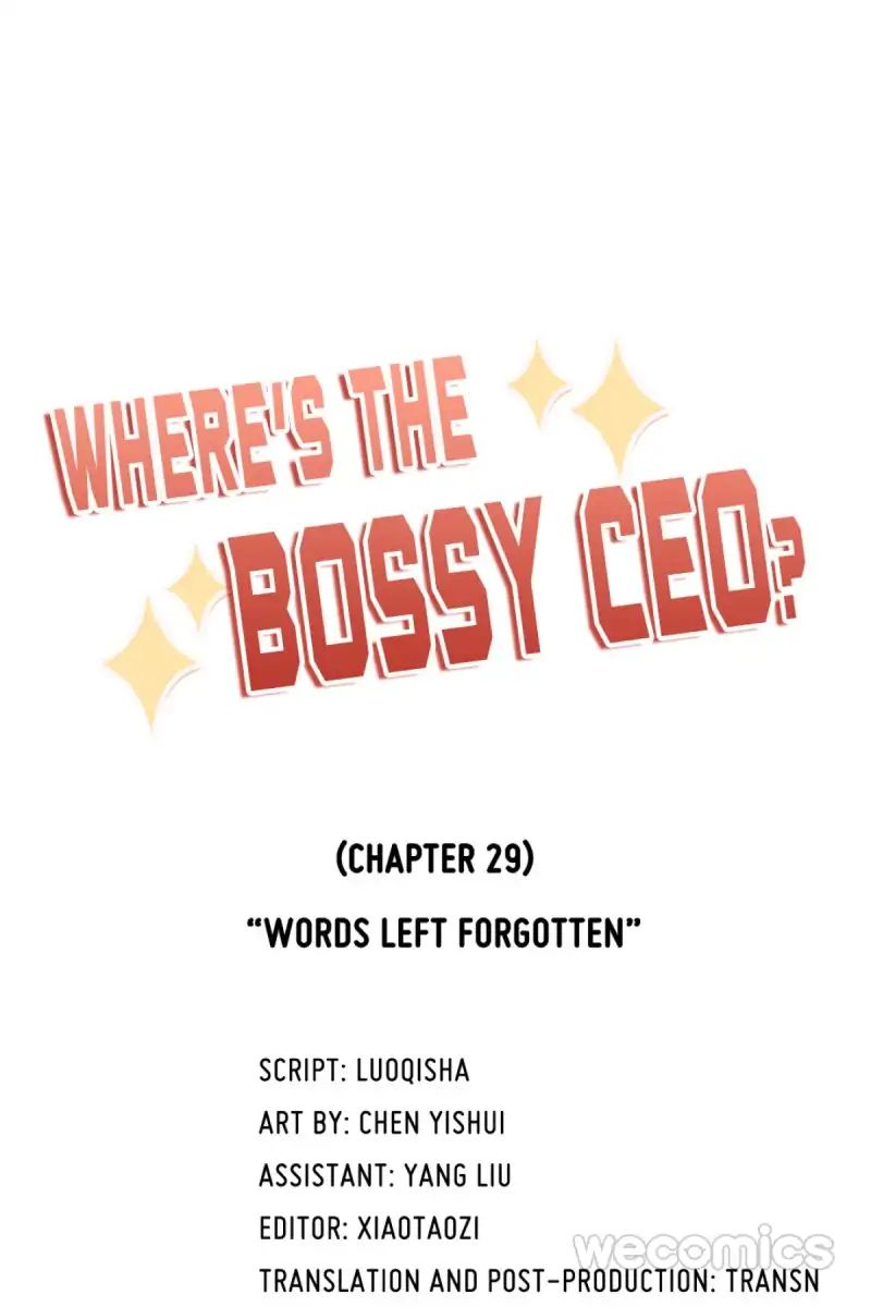 Where's The Bossy Ceo? - Chapter 29