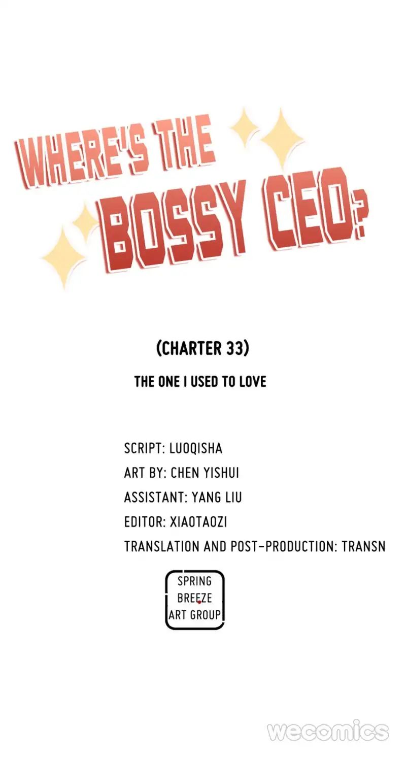 Where's The Bossy Ceo? - Chapter 33: The One I Used To Love