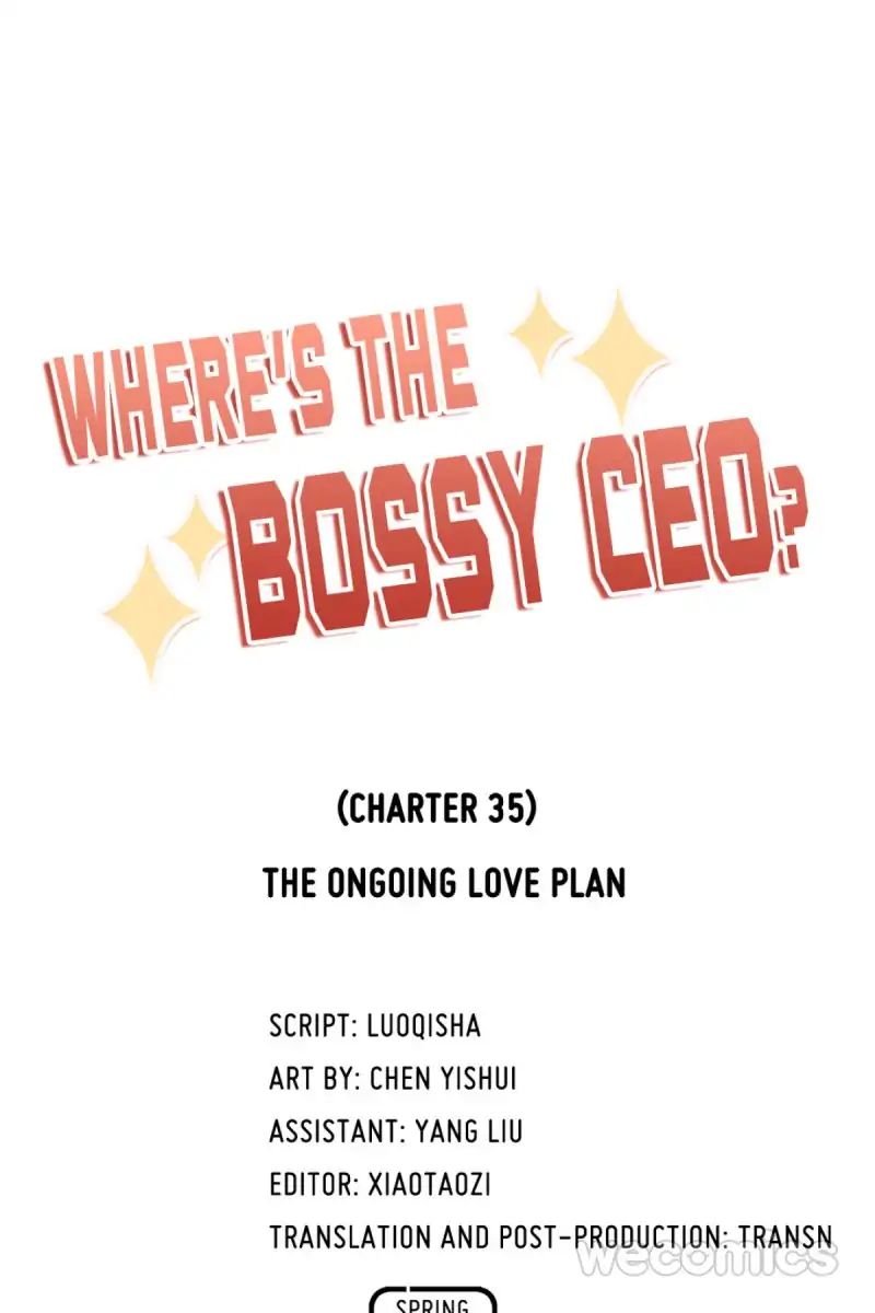 Where's The Bossy Ceo? - Chapter 35: The Ongoing Love Plan