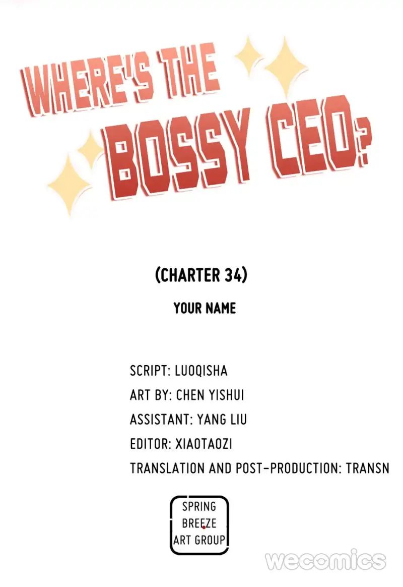 Where's The Bossy Ceo? - Chapter 34: Your Name