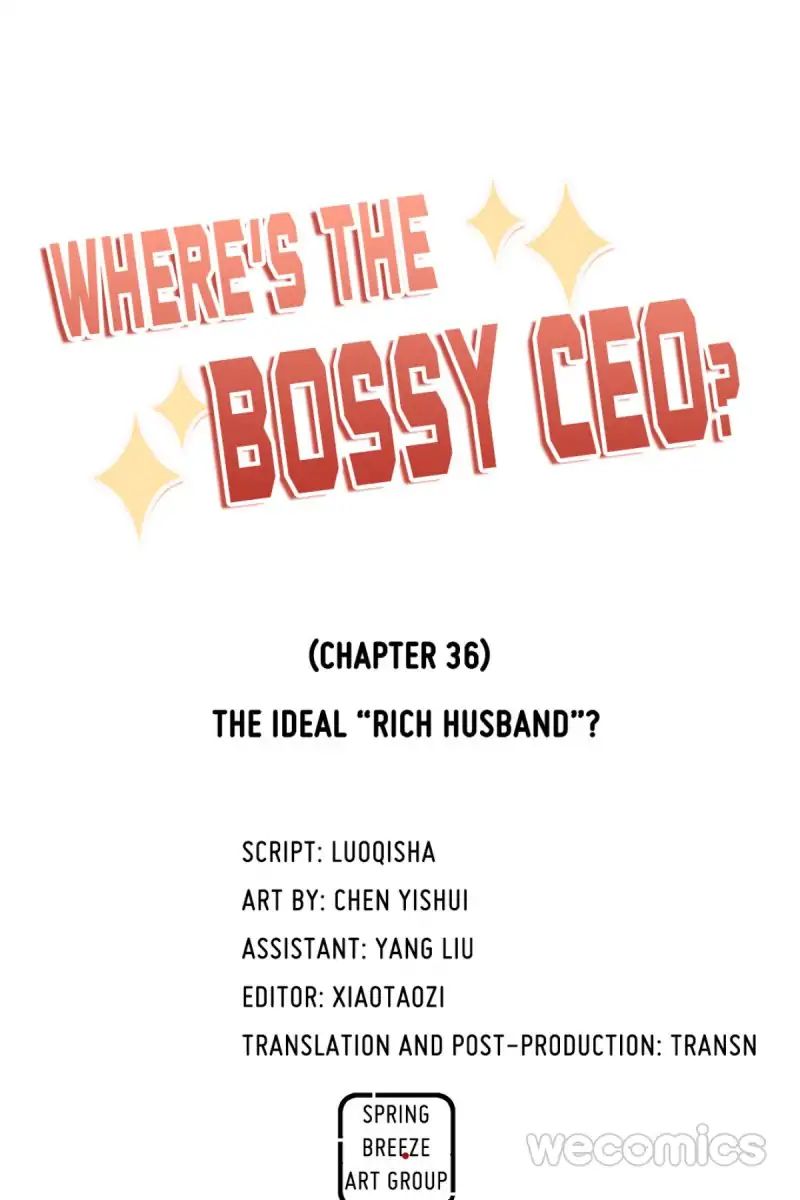 Where's The Bossy Ceo? - Chapter 36: The Ideal "Rich Husband"?