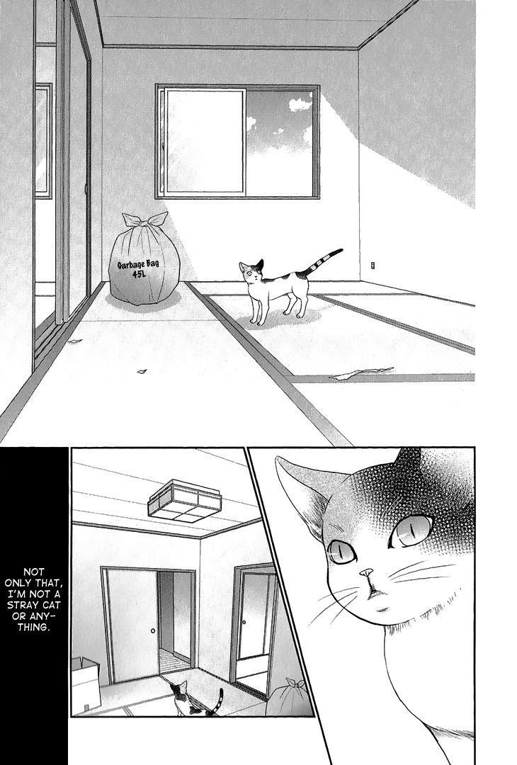 Nekoka Kareshi No Ayashikata - Vol.1 Chapter 6 : Nekoka Kareshi No Ayashikata 6