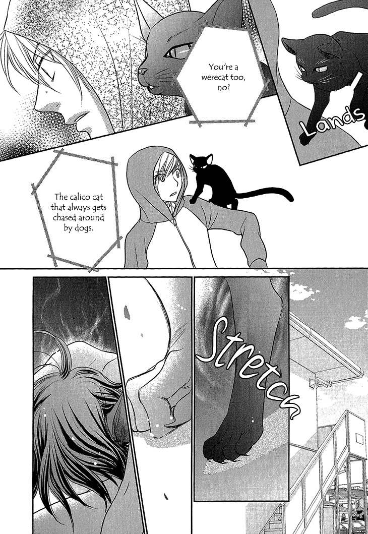 Nekoka Kareshi No Ayashikata - Vol.1 Chapter 5 : Nekoka Kareshi No Ayashikata 5