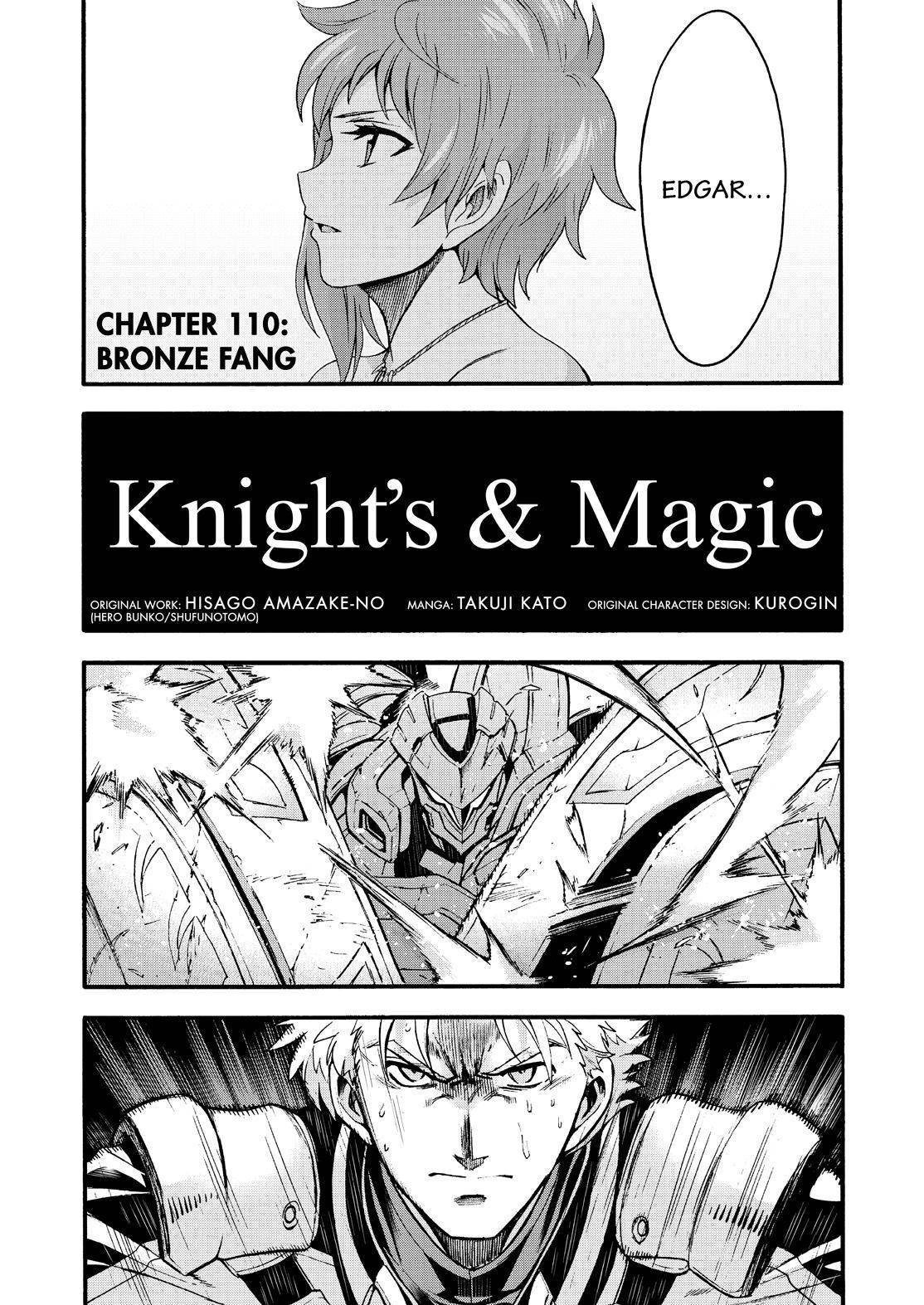 Knights & Magic - Chapter 110