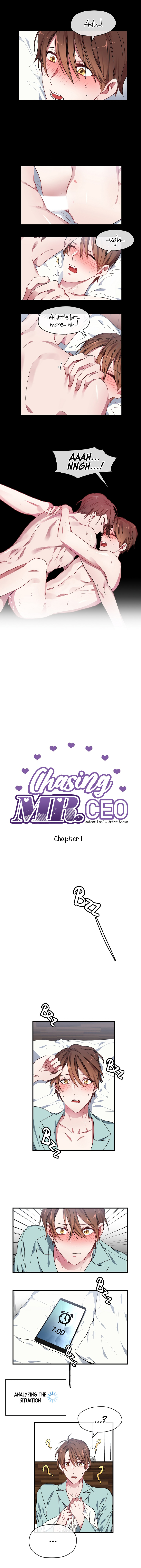 Chasing Mr. Ceo - Chapter 1