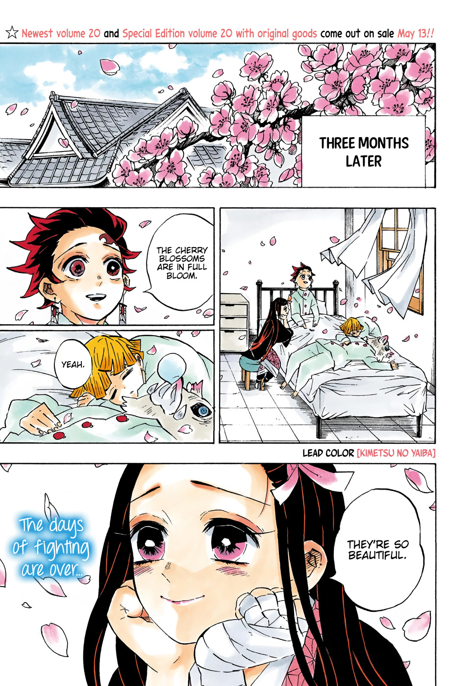 Kimetsu No Yaiba - Chapter 204: A World Without Demons