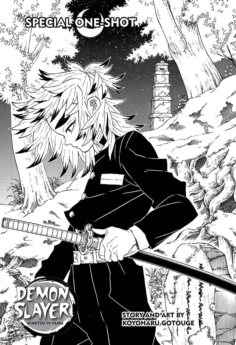 Kimetsu No Yaiba - Chapter 205.5: Special One-Shot