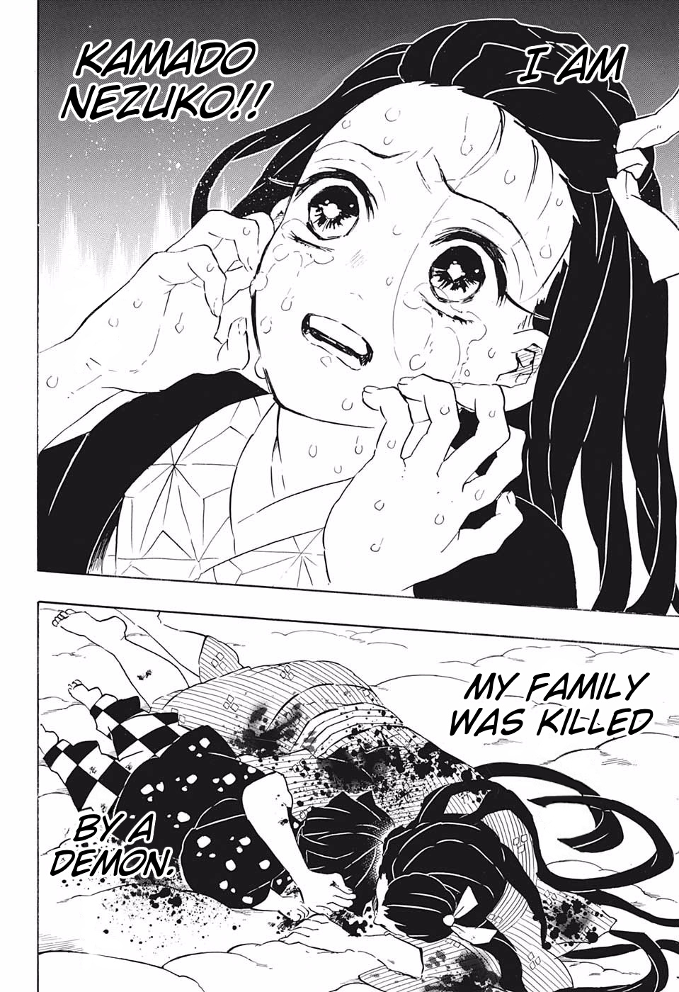 Kimetsu No Yaiba - Chapter 196: I Am