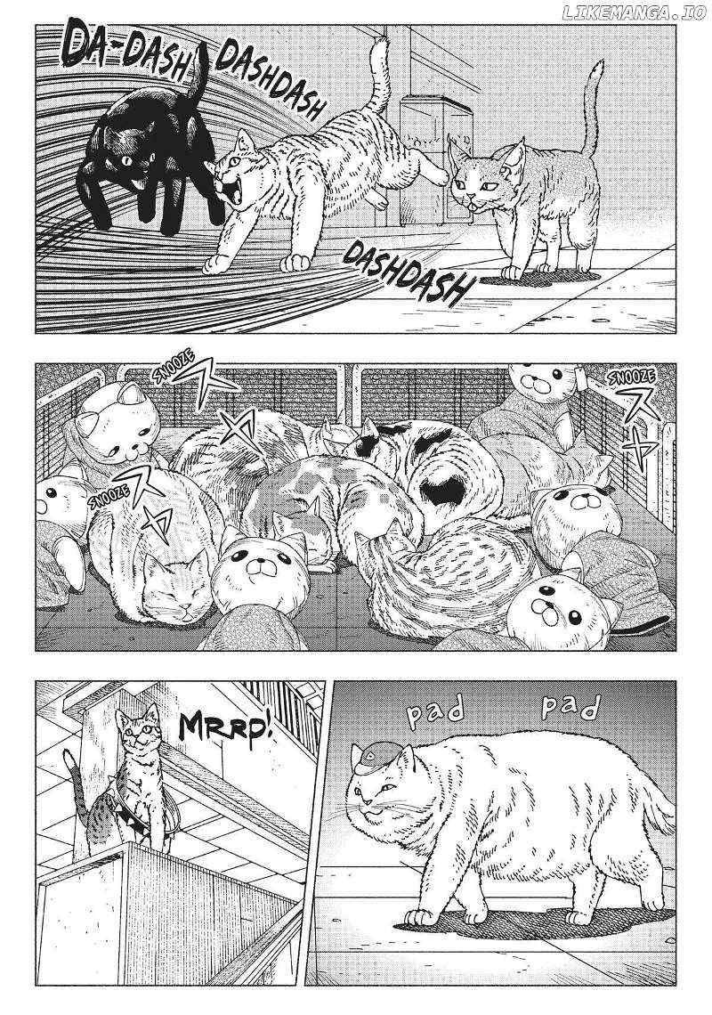 Nyaight Of The Living Cat - Chapter 9