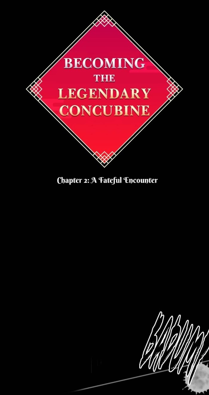 Becoming The Legendary Concubine - Chapter 2 : A Fateful Encounter