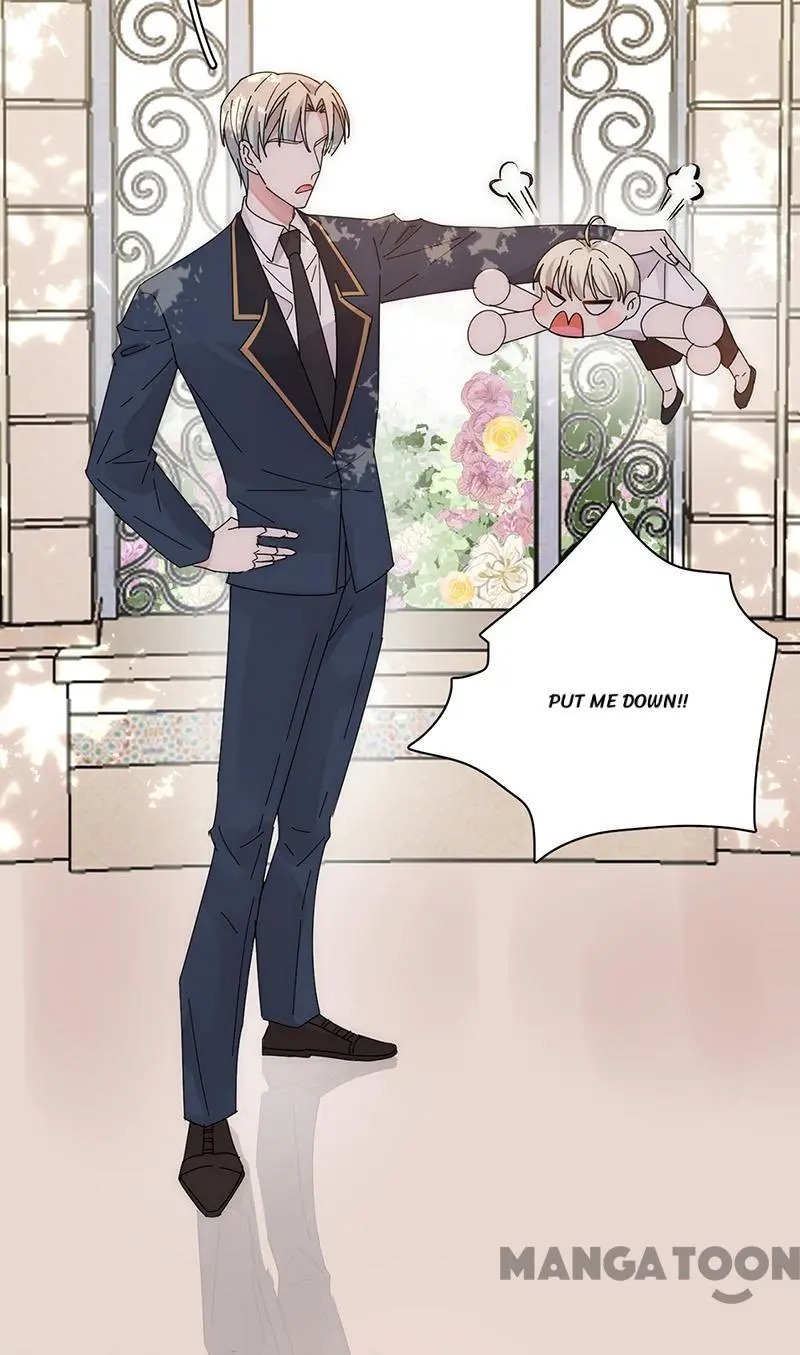 Evolution Of A Perfect Hubby - Chapter 176