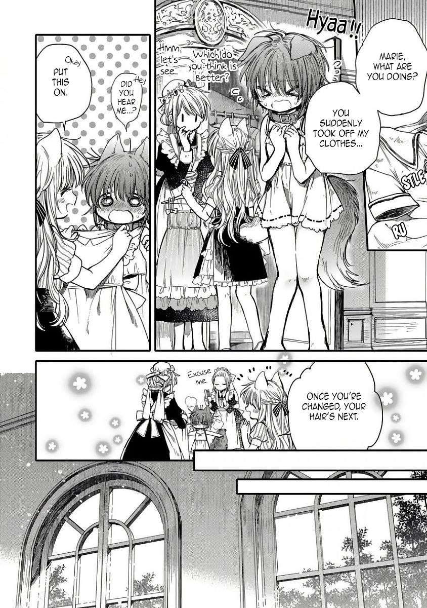 Goshujin-Sama To Kemonomimi No Shoujo Meru - Chapter 9: Special