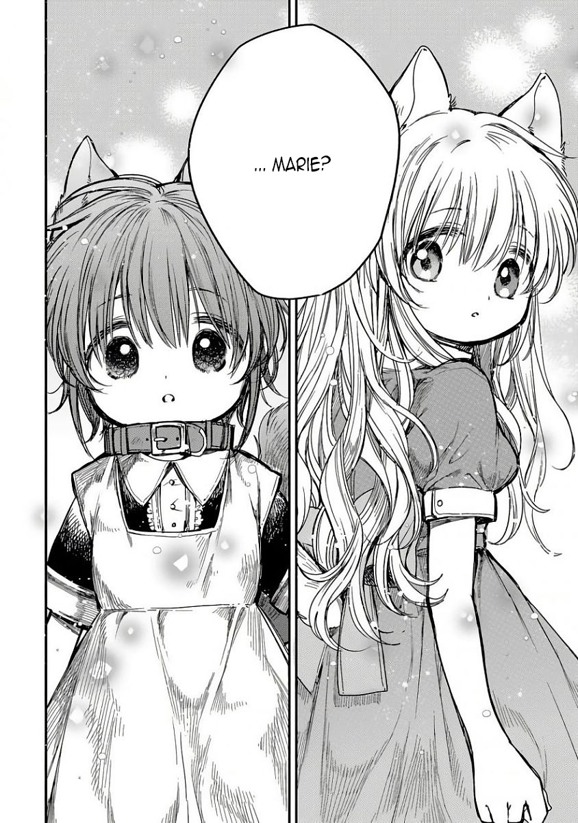 Goshujin-Sama To Kemonomimi No Shoujo Meru - Chapter 8: A Guest