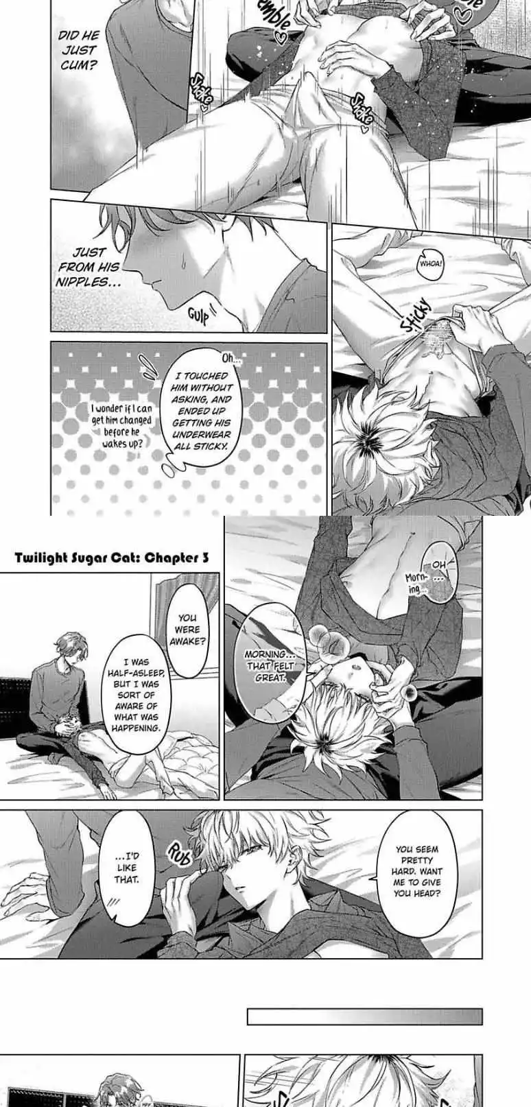 Twilight Sugar Cat - Chapter 4