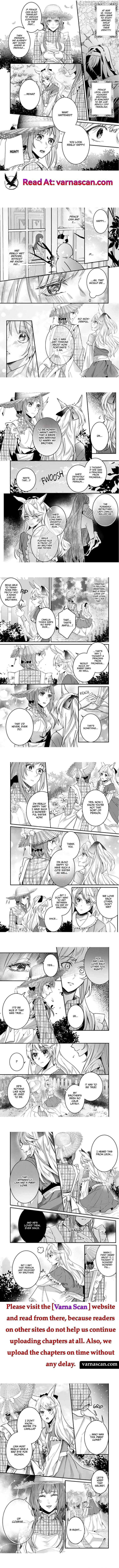 The Persecuted Princess Cherished By The Prudent Dragon Prince - Chapter 8