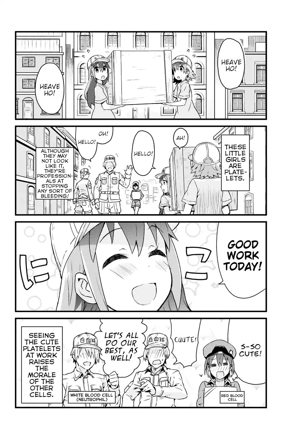 Platelets At Work - Chapter 1: The Group Of Small Workers