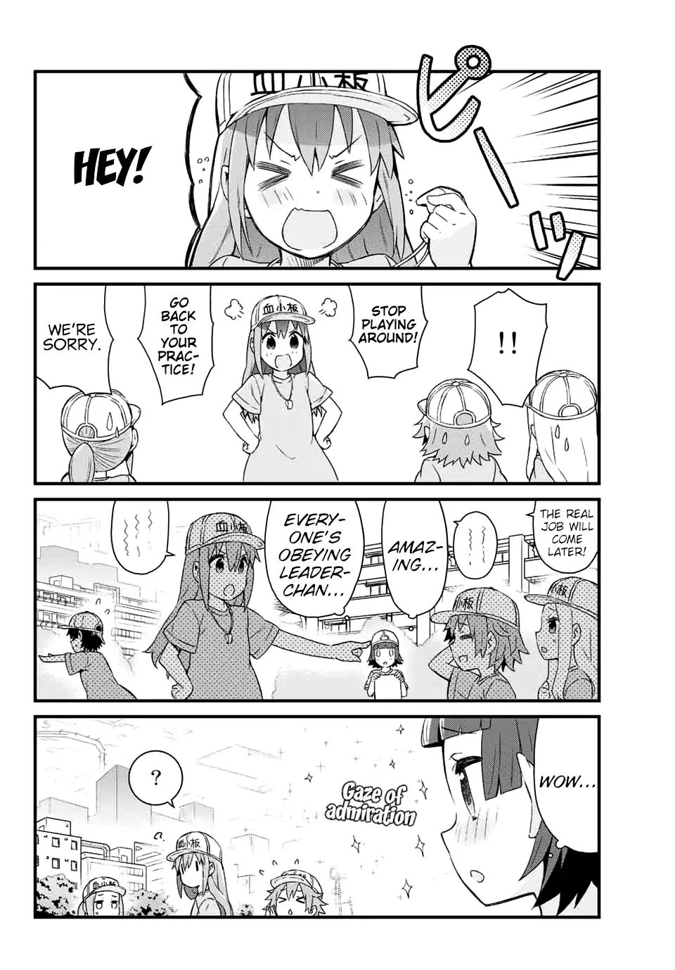 Platelets At Work - Chapter 1: The Group Of Small Workers