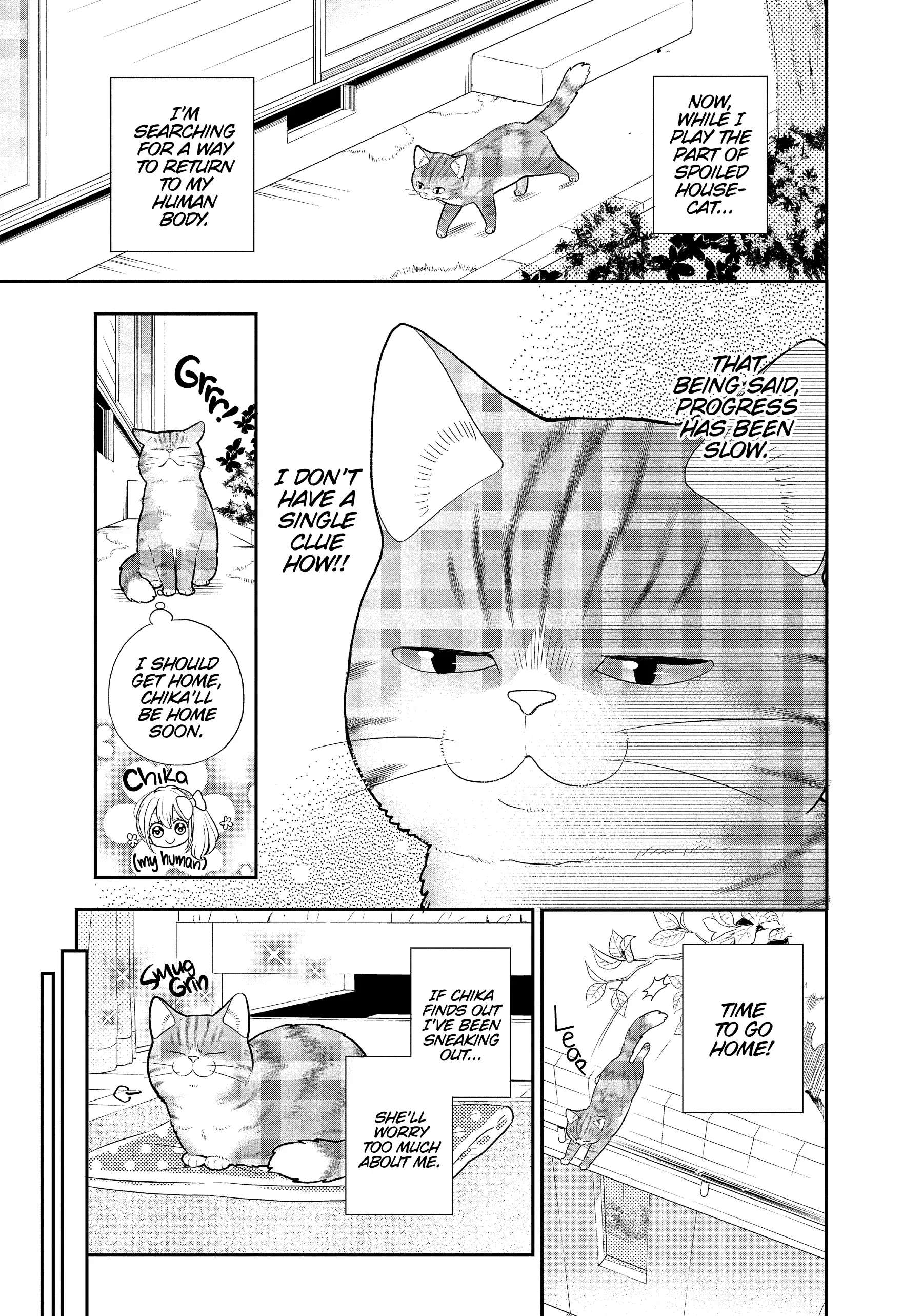 My New Life As A Cat - Chapter 20