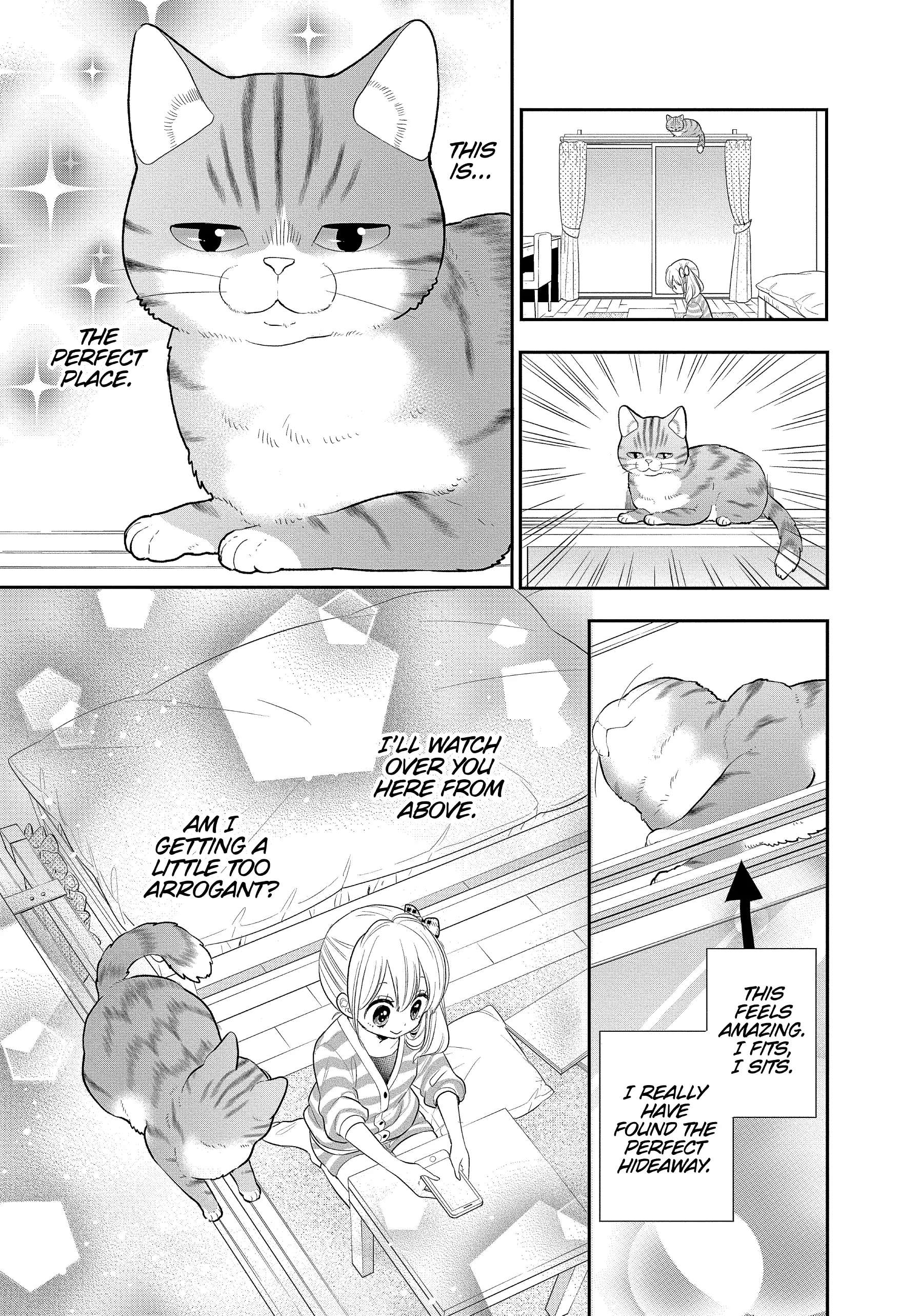 My New Life As A Cat - Chapter 24