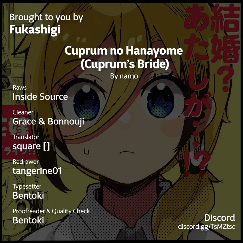 The Artisan&Amp;Rsquo;S Bride - Chapter 5: Gyaru And Guests