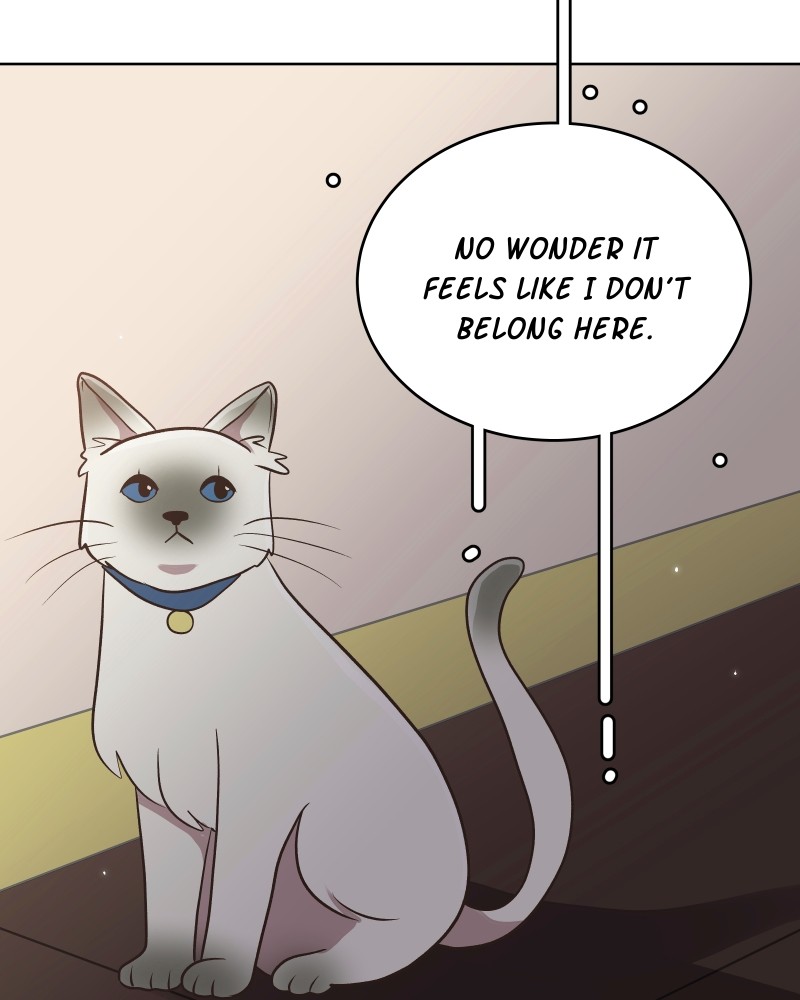 Gourmet Hound - Chapter 147